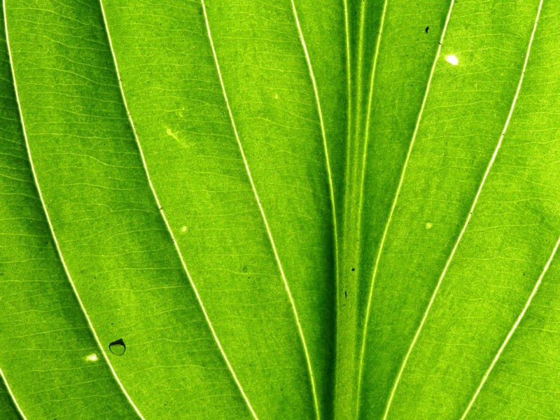 欧意交易所注册流程 欧易交易所APP：安全便捷的数字资产交易平台  
